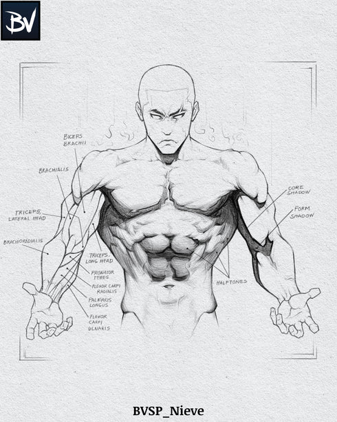 Sketch Paper | Digital Textures