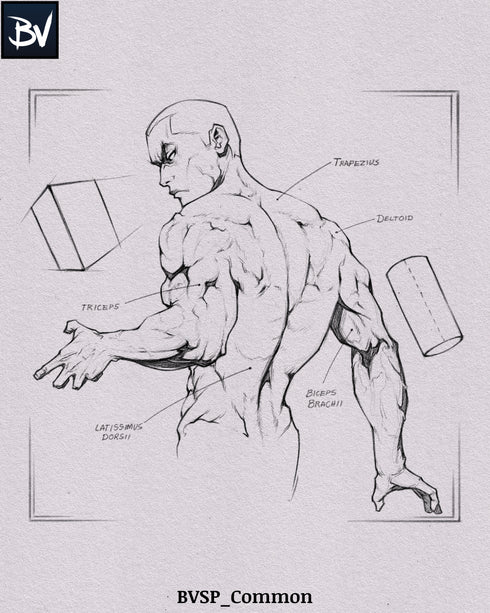 Sketch Paper | Digital Textures