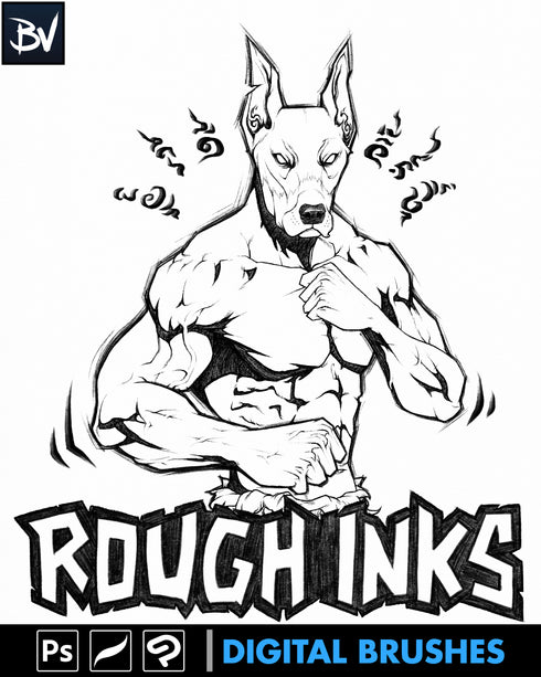 Rough Inks | Digital Brushes