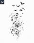 Bat Silhouettes | Digital Brushes