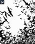 Bat Silhouettes | Digital Brushes